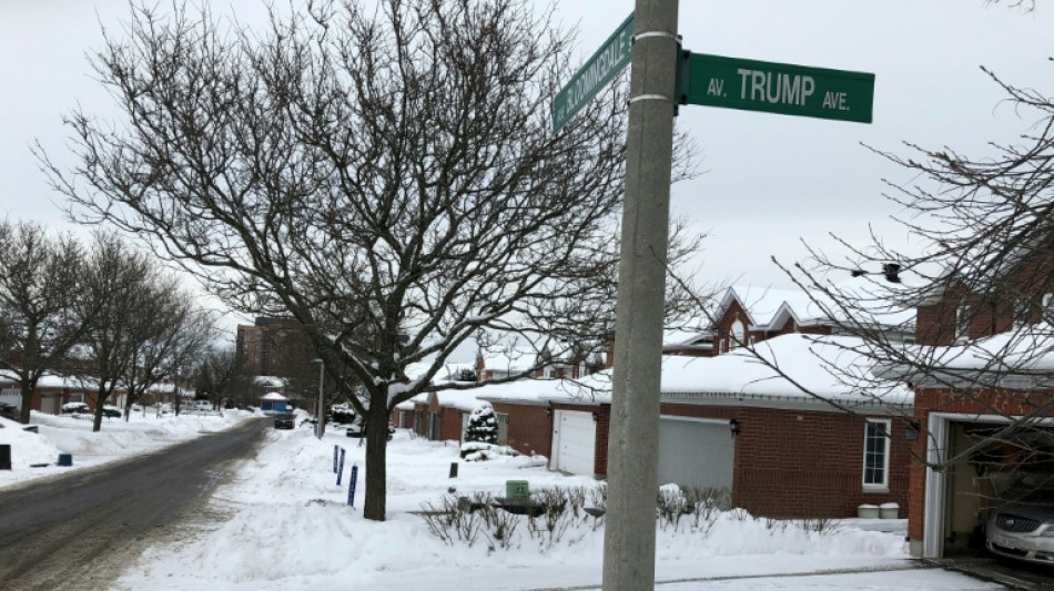 Canadian capital to rename 'Trump Ave'