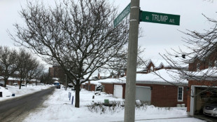 Canadian capital to rename 'Trump Ave'