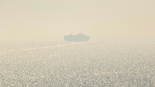 Ukraine: Sechs Tote bei russischem Raketenangriff auf t&uuml;rkisches Frachtschiff
