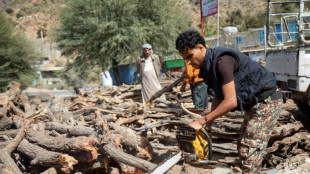 Au Y&eacute;men en guerre, les arbres sacrifi&eacute;s face &agrave; la flamb&eacute;e de l'&eacute;nergie