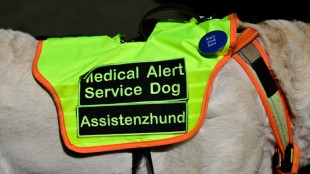 Gericht: Anspruch auf Assistenzhund bei Posttraumatischer Belastungsst&ouml;rung