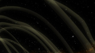 Una 'corsia preferenziale' cosmica per una particella di luce da record