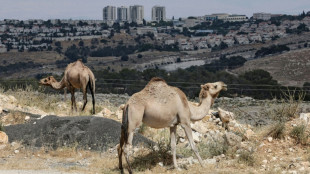 Reino Unido convoca a enviado de Israel por proyecto de asentamientos en Cisjordania