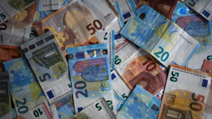 Staatliche Pro-Kopf-Verschuldung in Deutschland steigt auf mehr als 31.000 Euro