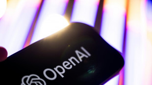 OpenAI cancels release of newest model due to safety concerns