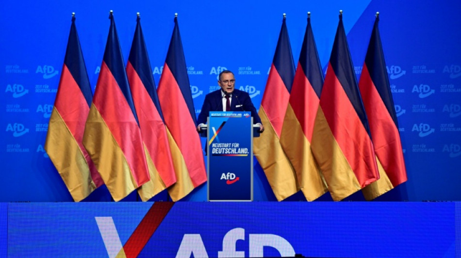 Tino Chrupalla mit rund 70 Prozent als AfD-Chef best&auml;tigt