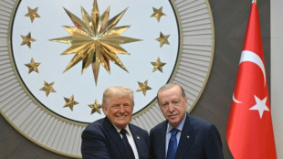 Au sommet de l'Otan, Trump vante son "alchimie" avec Erdogan 