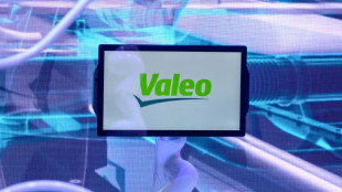 Valeo choisit le site de Sainte-Florine en Haute-Loire pour produire ses moteurs de drones