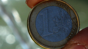 L'euro stabile a 1,1751 dollari