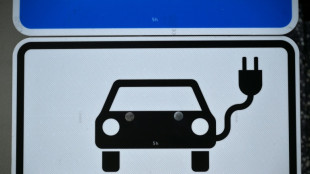 Francia y Alemania oficializan acuerdo que ralentiza la transici&oacute;n total a veh&iacute;culos el&eacute;ctricos
