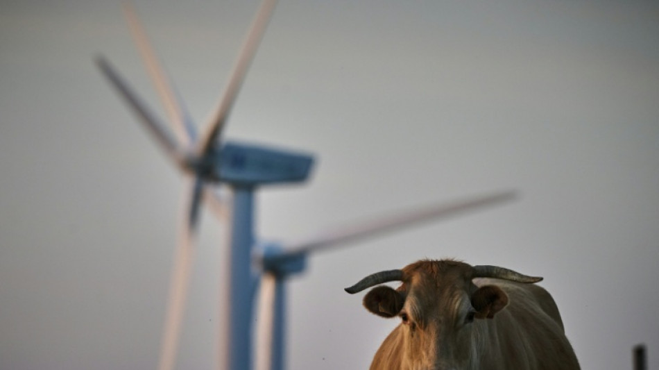 La inflaci&oacute;n en Espa&ntilde;a se acelera en julio por los precios de la energ&iacute;a