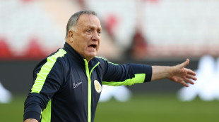AFP: Advocaat wird wieder Curacaos Nationaltrainer