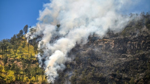 Incendio sin tregua por octavo d&iacute;a en parque nacional de Indonesia