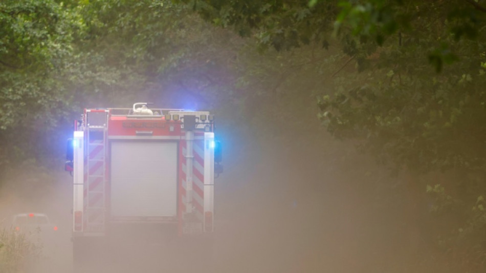 Gr&ouml;&szlig;erer Fl&auml;chenbrand in Mecklenburg-Vorpommern - Behindertenwerkstatt ger&auml;umt