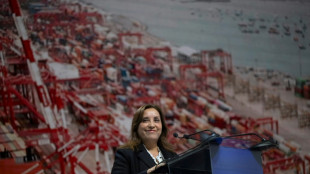 Per&uacute; redobla la capacidad de su principal puerto con un megamuelle de 400 millones de d&oacute;lares