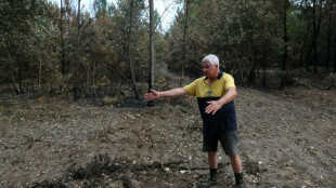 Les propri&eacute;taires de la parcelle d'o&ugrave; est parti le m&eacute;gafeu de Gironde r&eacute;clament justice