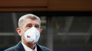 EU-Gericht: Kein Zugang zu Dokumenten f&uuml;r Holding von Tschechiens Ex-Regierungschef