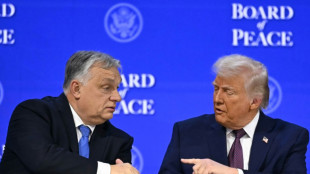 Trump unterst&uuml;tzt Orban vor Wahl in Ungarn im April