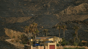 Fortschritte im Kampf gegen t&ouml;dlichen Waldbrand in Andalusien