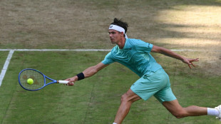Sieg gegen Medwedew: Altmaier folgt Zverev ins Halbfinale