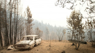 Feux de for&ecirc;t en Patagonie argentine: le gouvernement d&eacute;clare l'"urgence incendies"