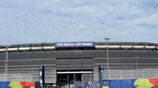 "Unm&ouml;glich hohe Preise": Untersuchungen zu WM-Ticketpreisen