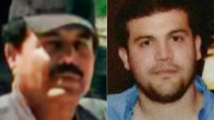 Son of Mexican crime lord 'El Chapo' pleads guilty in drug case: US media