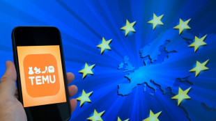 L'UE accuse Temu d'entraver une enqu&ecirc;te anti-subventions