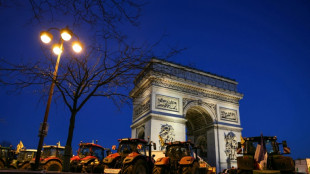 Detenidas 66 personas en una protesta agraria junto al Arco del Triunfo en Par&iacute;s