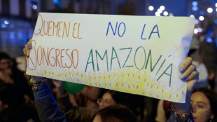 Per&uacute; decreta emergencia en tres regiones de la selva por incendios
