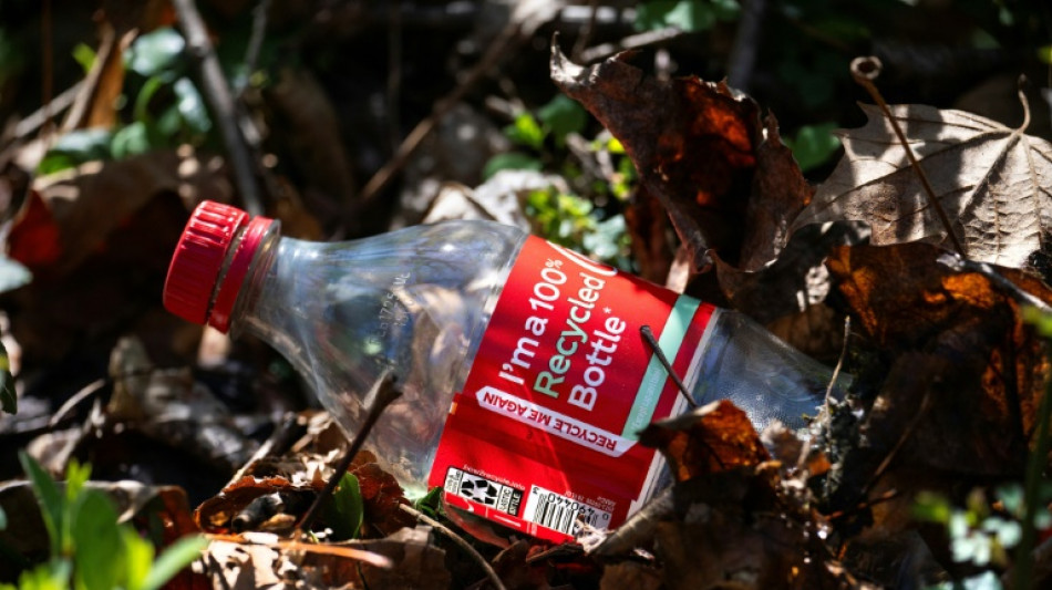 M&aacute;s de 600.000 toneladas de residuos pl&aacute;sticos de Coca-Cola en oc&eacute;anos en 2030, seg&uacute;n estudio
