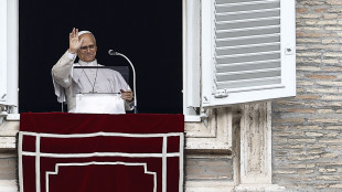 Il Papa terr&agrave; mercoled&igrave; l'udienza generale con i fedeli