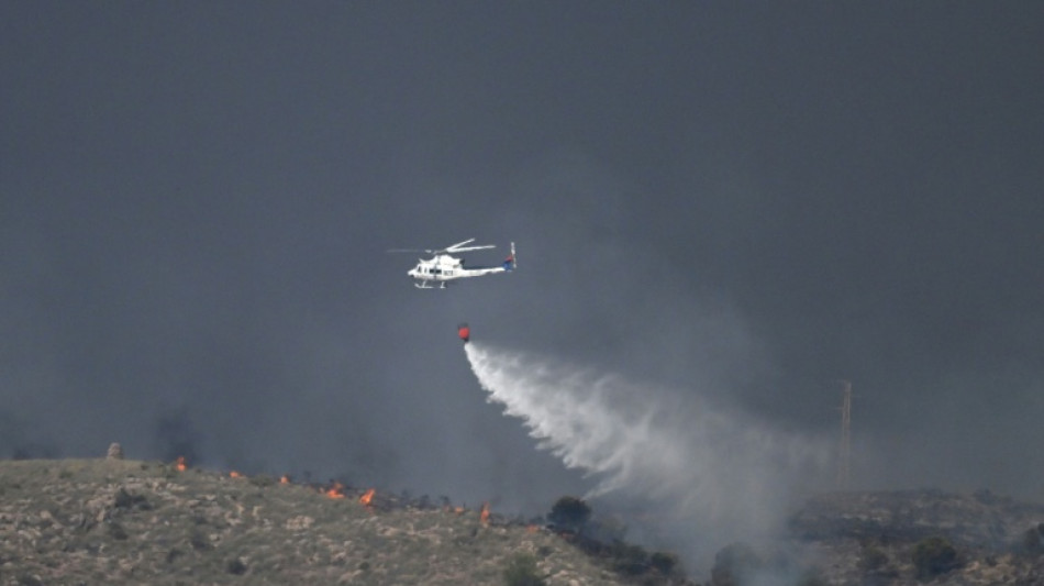 Mindestens elf Tote bei verheerendem Waldbrand in Spanien - Ausl&auml;nder unter Opfern