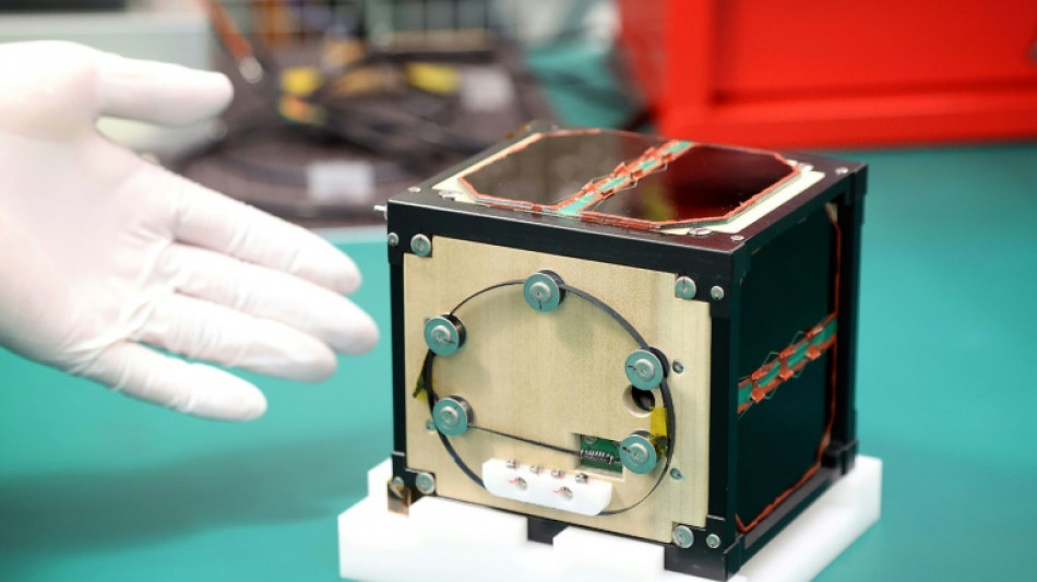 Cient&iacute;ficos japoneses construyen el primer sat&eacute;lite de madera del mundo