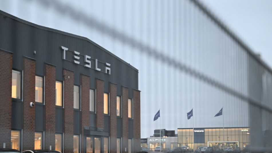 "Irre": Musk &auml;u&szlig;ert sich zu Folgen des Streiks gegen Tesla in Schweden