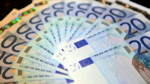 &Ouml;konomen: Sonderverm&ouml;gen wird zweckentfremdet - Scharfe Kritik der Opposition