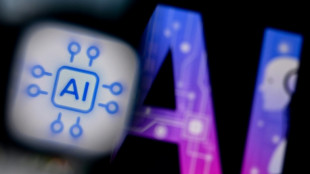 Intelligence artificielle : un plan de 80 millions d'euros pour accompagner le monde du travail