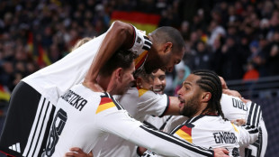 Nach Quali-Gala: Das ist die deutsche WM-Elf