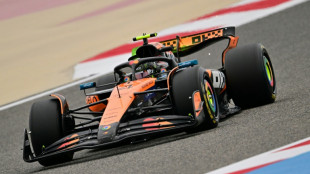 Norris domina 1&ordm; dia de testes de pr&eacute;-temporada da F1; Bortoleto &eacute; o 12&ordm;