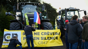 Los agricultores franceses preparan el "cerco" de Par&iacute;s