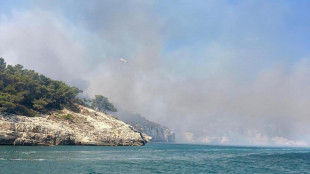 Incendi boschivi, nuova app per agire senza connessione dati
