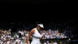 Swiatek folgt Anisimova ins Wimbledon-Finale - drei Notfälle