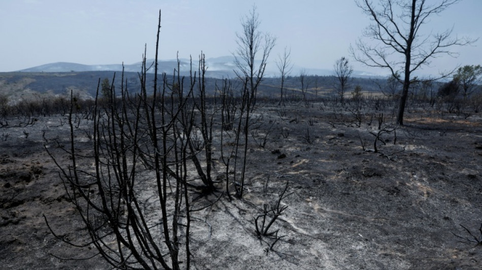 Waldbrand au&szlig;er Kontrolle: 3500 Menschen in Gemeinde westlich von Madrid evakuiert