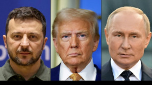 Avant de voir Poutine, Trump souligne qu'un accord de paix ne se fera qu'avec Zelensky