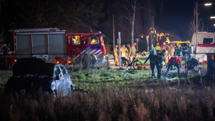 Auto sulla folla di una parata natalizia in Olanda, almeno 9 feriti