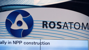 El sector nuclear franc&eacute;s est&aacute; "bajo influencia" de Rusia, seg&uacute;n Greenpeace