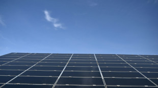 Crescimento de energias renov&aacute;veis supera o dos combust&iacute;veis f&oacute;sseis, apesar dos EUA