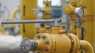 Il gas conclude piatto a 44 euro al Megawattora