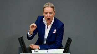 AfD-Chefin Weidel rechnet mit Merz ab:  "Abgesang eines Gescheiterten" 