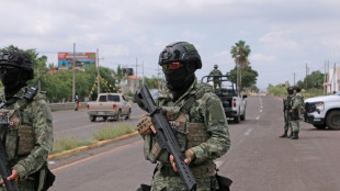 El ej&eacute;rcito mexicano abate a 19 "agresores" en el violento estado de Sinaloa